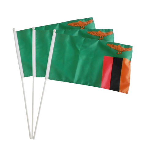 product-Jarmoo-Custom Advertising Event Sports Club Campaign Hand Flags-img